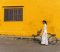 image_68c3085b6b804